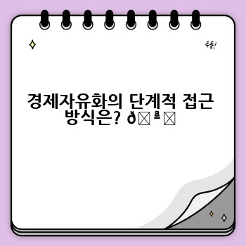 경제자유화의 단계적 접근 방식은? 🪜