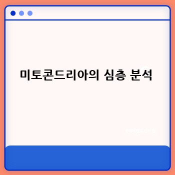 미토콘드리아의 심층 분석