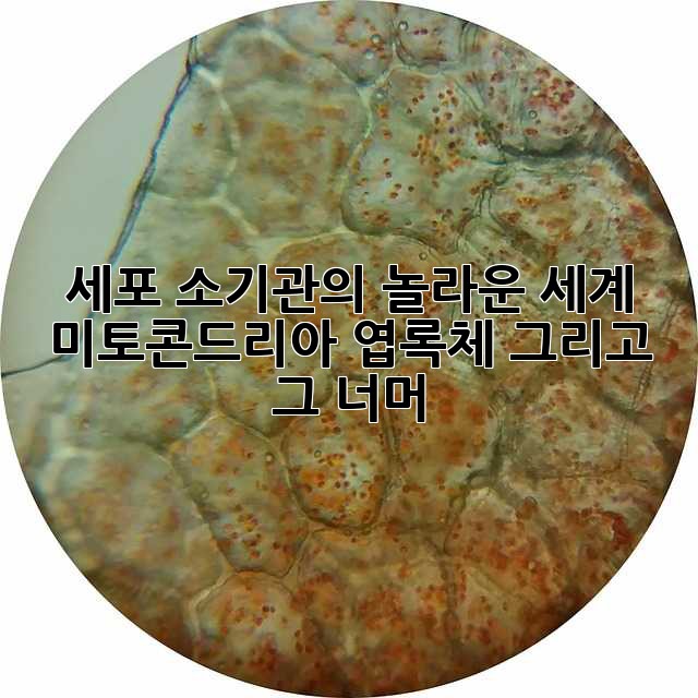 세포 소기관의 놀라운 세계: 미토콘드리아, 엽록체 그리고 그 너머
