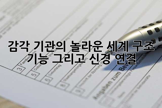 감각 기관의 놀라운 세계: 구조, 기능, 그리고 신경 연결