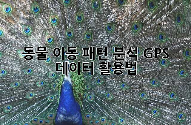 동물 이동 패턴 분석: GPS 데이터 활용법