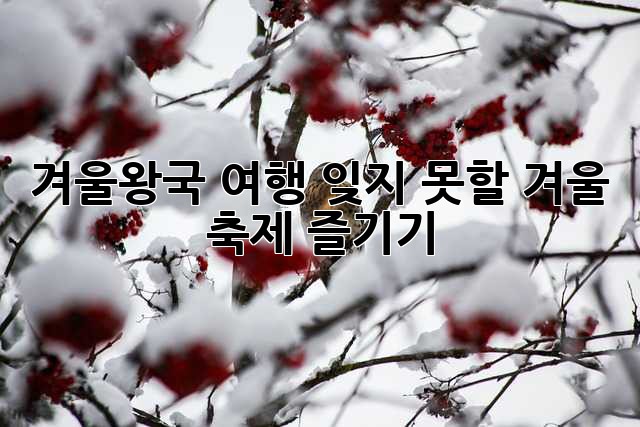 겨울왕국 여행: 잊지 못할 겨울 축제 즐기기!