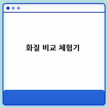 화질 비교 체험기