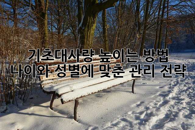 기초대사량 높이는 방법: 나이와 성별에 맞춘 관리 전략