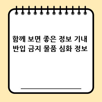 함께 보면 좋은 정보 기내 반입 금지 물품 심화 정보