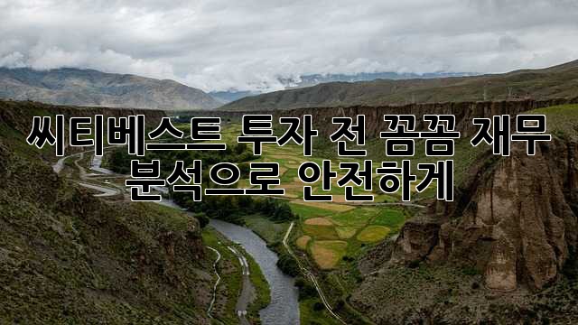 씨티베스트 투자 전, 꼼꼼 재무 분석으로 안전하게!