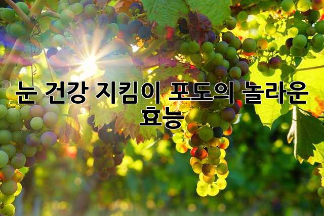 눈 건강 지킴이 포도의 놀라운 효능!