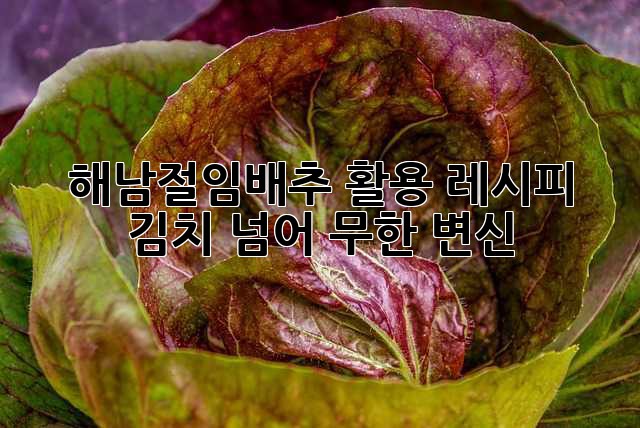 해남절임배추 활용 레시피: 김치 넘어 무한 변신!