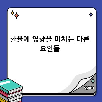 환율에 영향을 미치는 다른 요인들