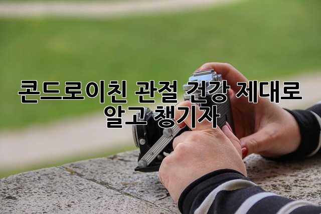 콘드로이친: 관절 건강, 제대로 알고 챙기자!