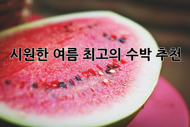 시원한 여름, 최고의 수박 추천! 🍉