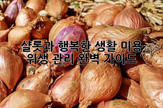 샬롯과 행복한 생활, 미용 & 위생 관리 완벽 가이드