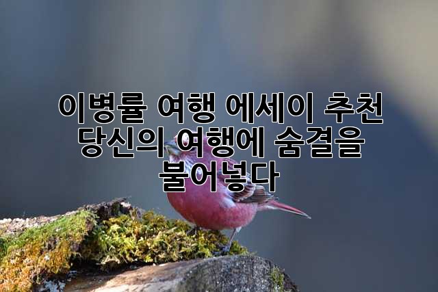 이병률 여행 에세이 추천: 당신의 여행에 숨결을 불어넣다