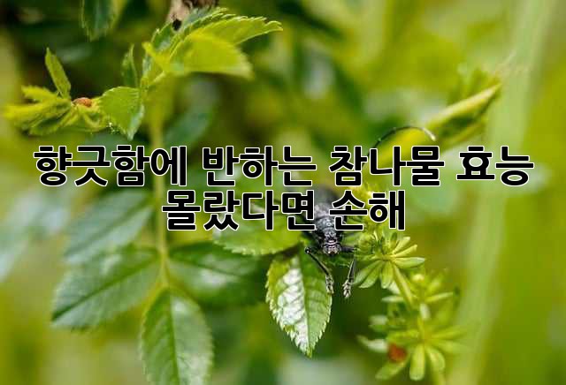 향긋함에 반하는 참나물🌿 효능, 몰랐다면 손해!