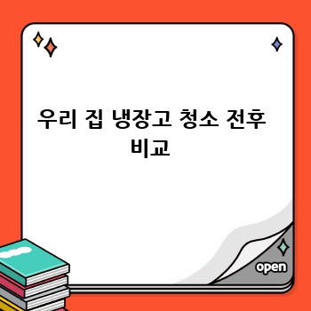 우리 집 냉장고 청소 전후 비교 