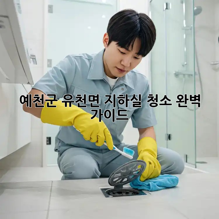예천군 유천면🏡 지하실 청소🧹 완벽 가이드✨